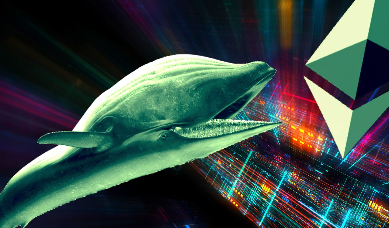 Bitcoin Whale Details Crypto Game Plan, Says He’s Loading Up On One ...