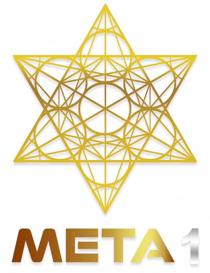 Meta1 crypto comprar bitcoins neteller fees